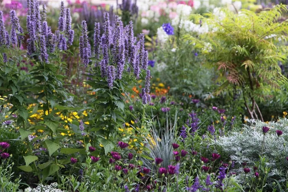 Local landscape installation experts serving Peabody, MA - D&S Landscaping & Junk Removal