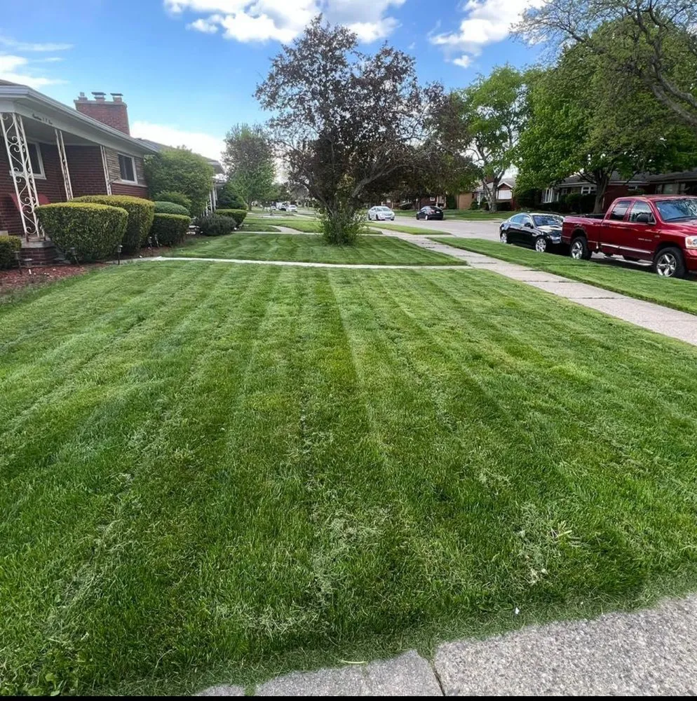 Local lawn care service experts serving Detroit, MI - D's Landscaping And Gardening