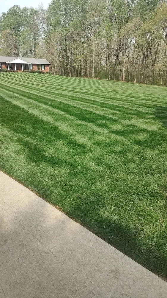 Top-rated landscape installation for beautiful yards in Salisbury, NC by D&S Landscaping And More