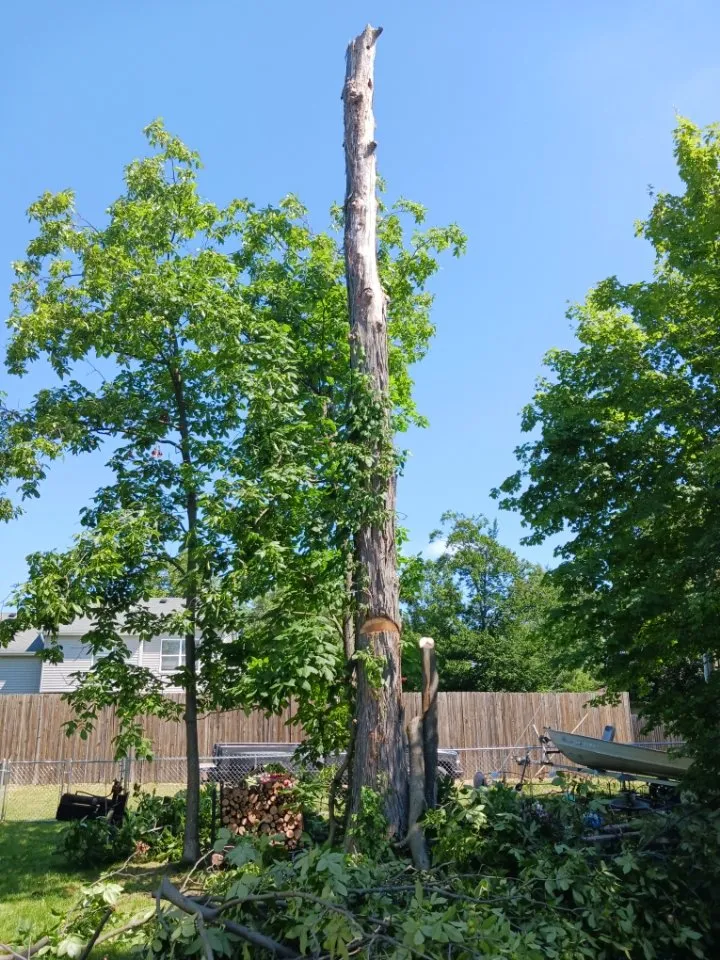 Reliable landscape installation in Bluffton, IN - Ds Landscaping