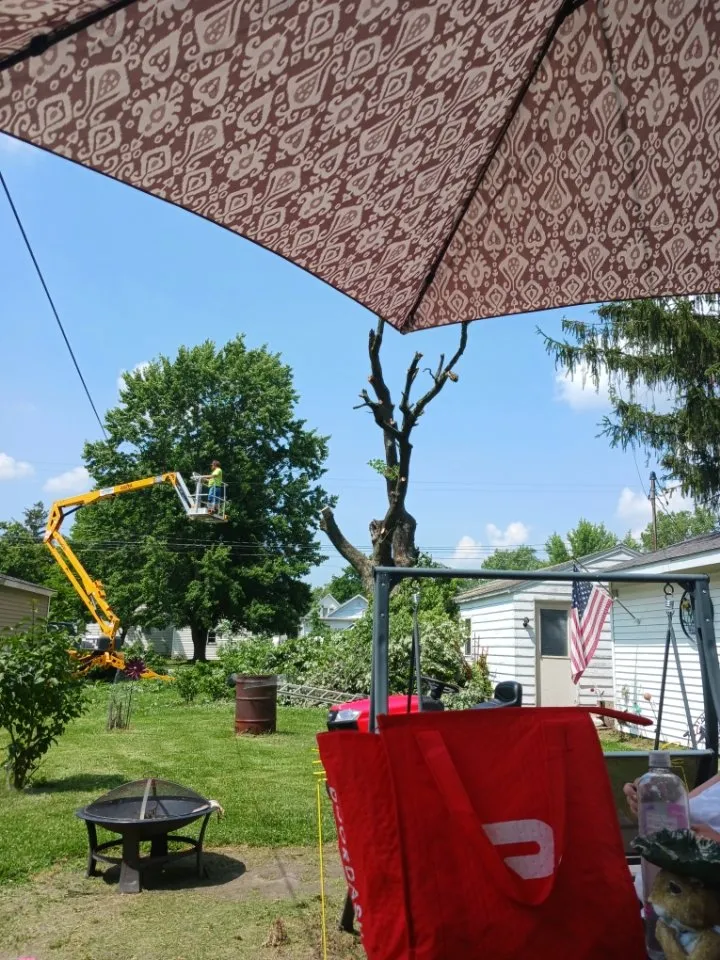 Top-rated yard maintenance for homes across Bluffton, IN - Ds Landscaping