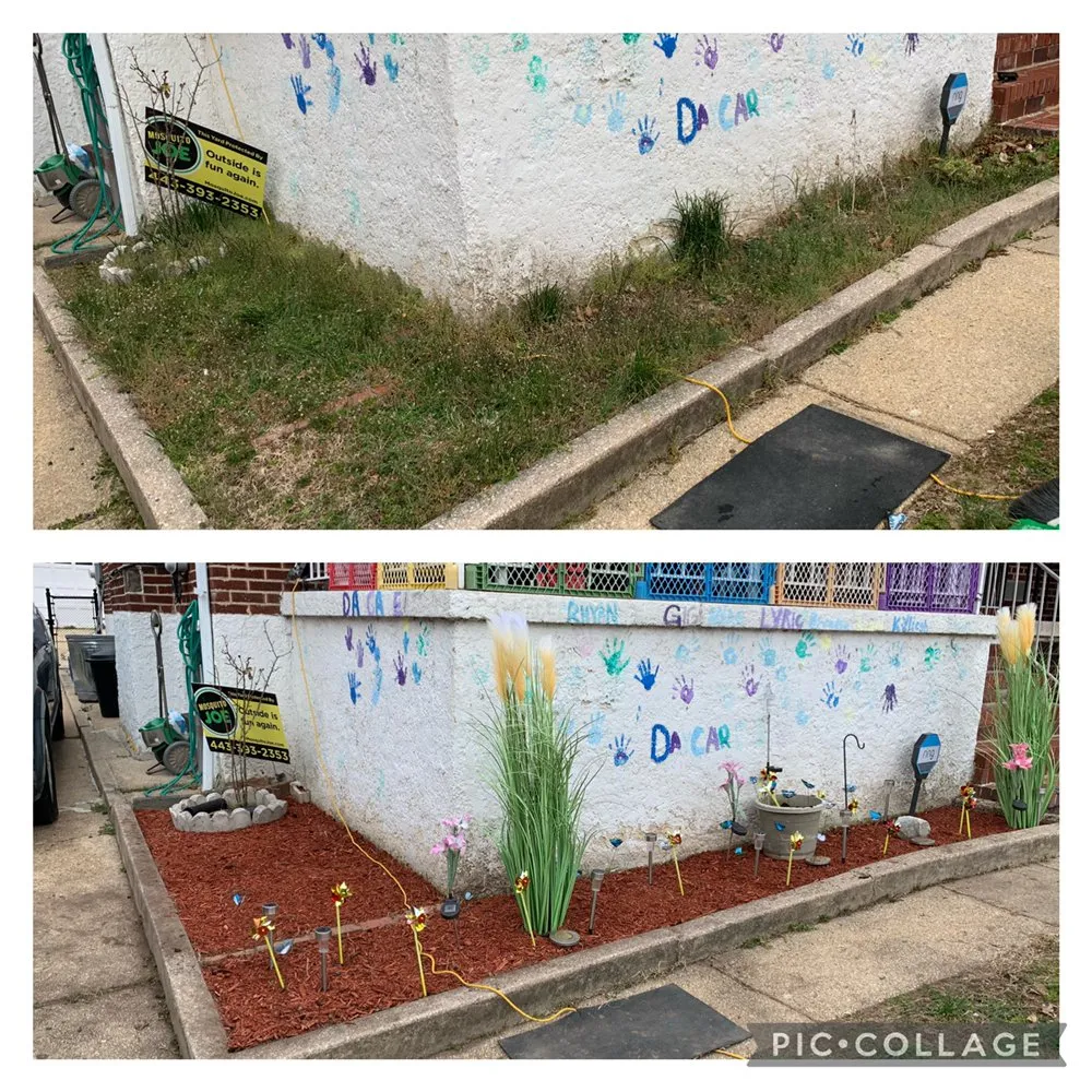 Local garden landscaping for outdoor upgrades across Essex, MD - D’s Landscaping