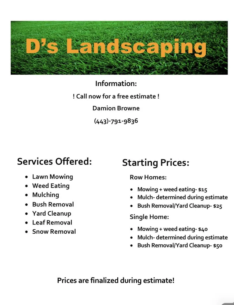 Top-rated yard cleanup service in Essex, MD - D’s Landscaping