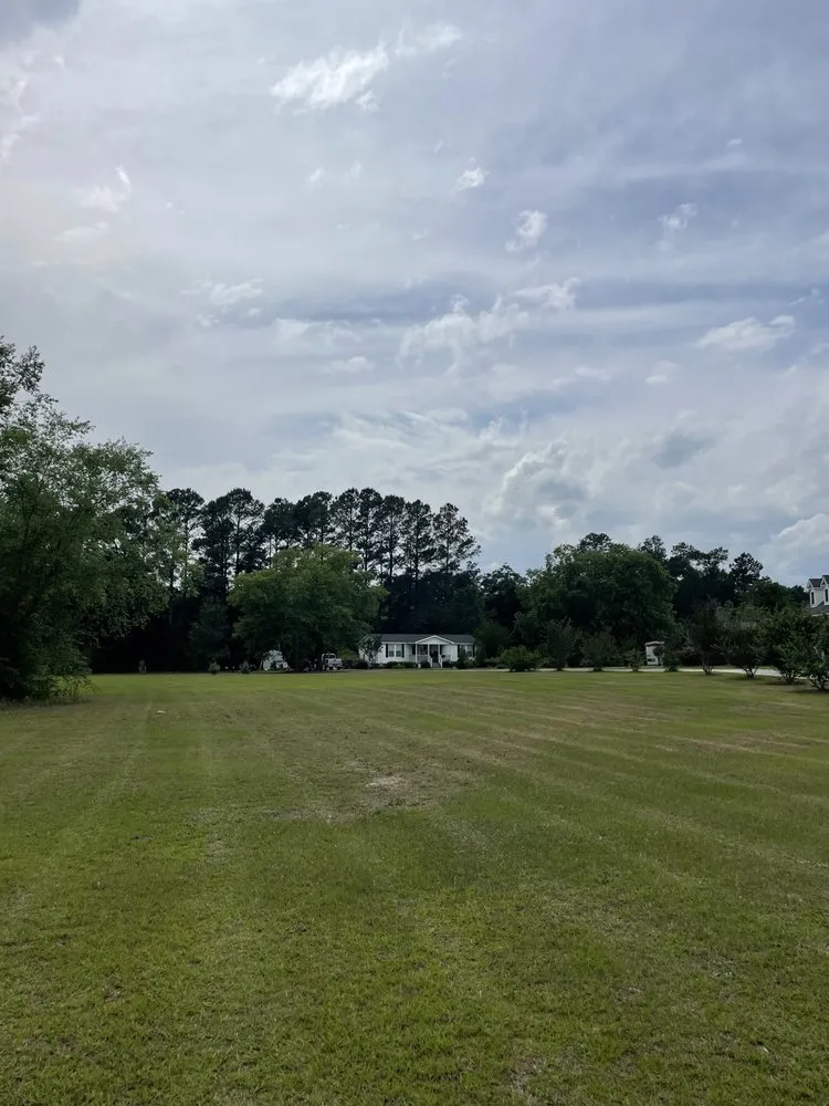 Custom landscape installation for year-round maintenance in Fayetteville, NC by D’s Landscaping