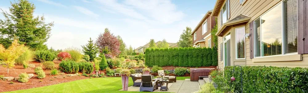 Expert lawn mowing service in Horizon City, TX - D's Landscaping