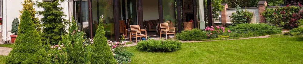 Trusted yard cleanup service for homes in Horizon City, TX by D's Landscaping