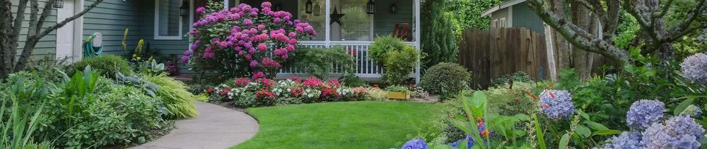 Local lawn care service in Horizon City, TX - D's Landscaping