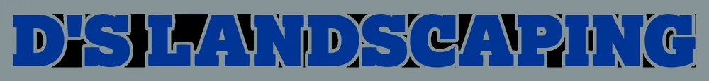 Affordable landscape installation near you across Horizon City, TX - D's Landscaping