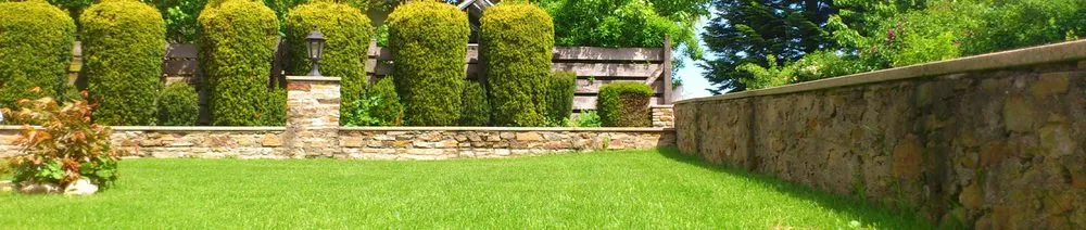 Reliable lawn care service experts serving Horizon City, TX - D's Landscaping