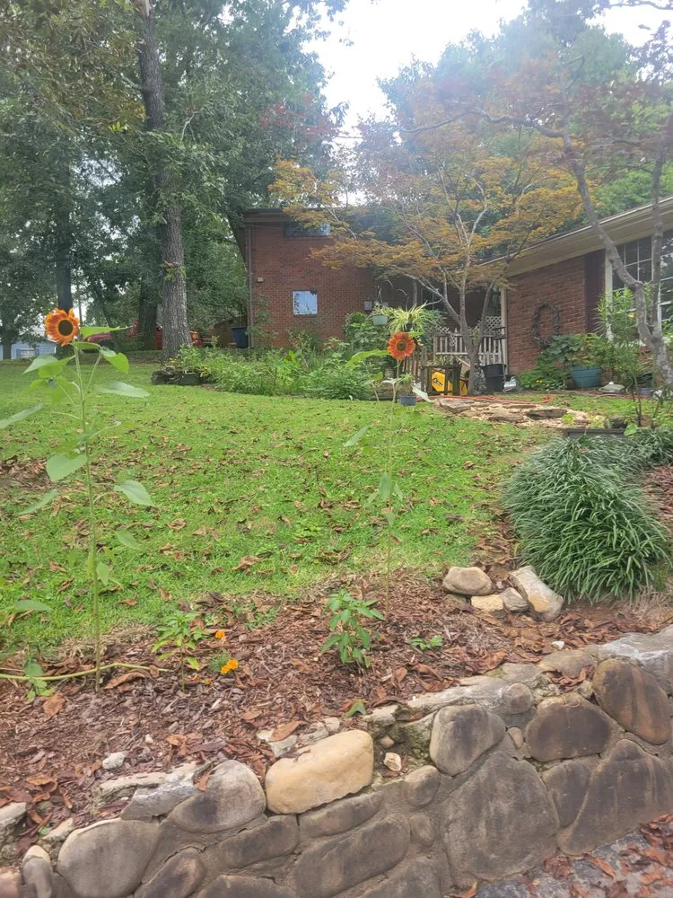 Affordable landscaping services in Middle Valley, TN by D&S Landscaping