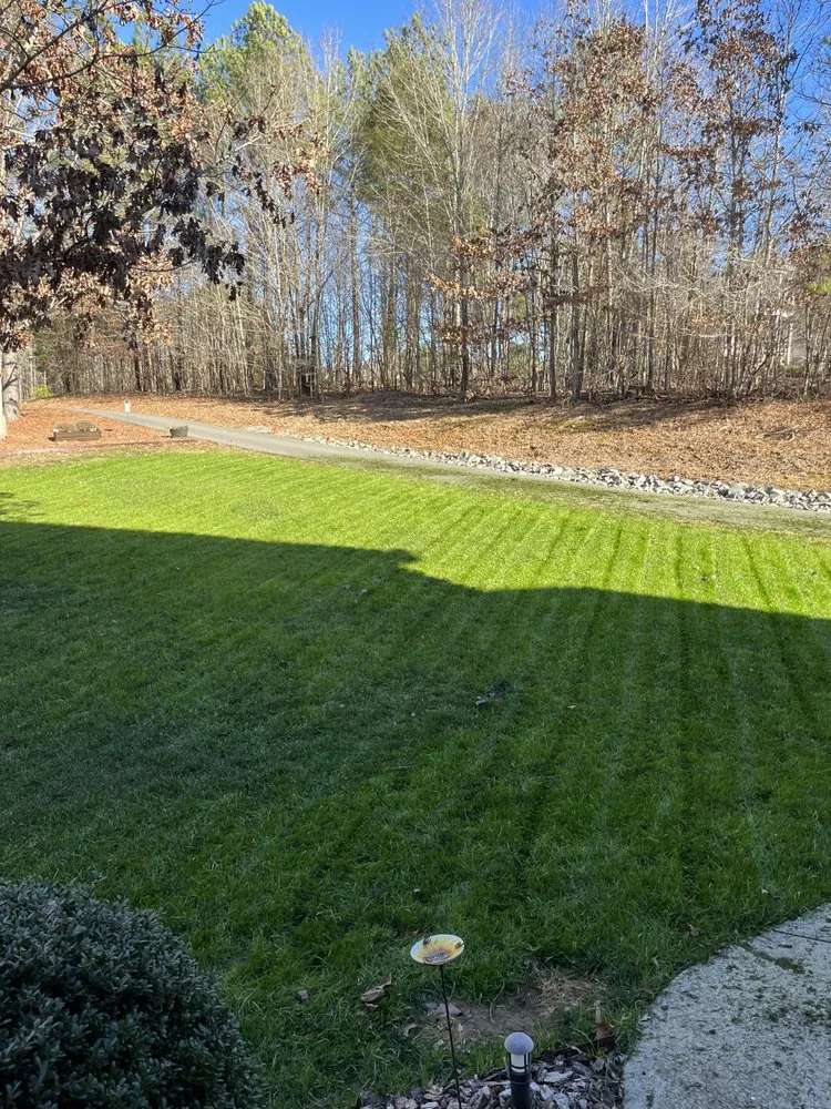 Affordable landscape design experts serving Moncure, NC - D’s Landscaping