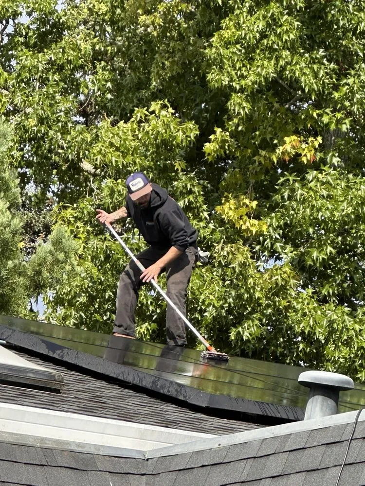 Trusted garden landscaping experts serving Santa Rosa, CA - DS Landscaping