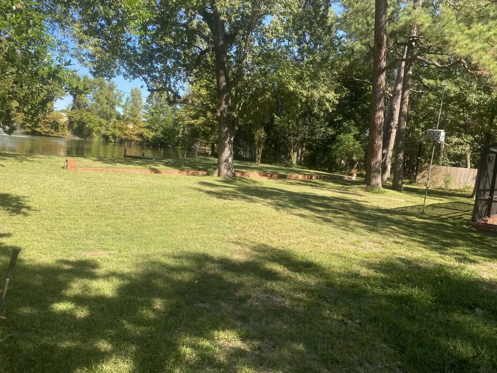 Affordable yard cleanup service for beautiful yards in Willis, TX by D.S Landscaping