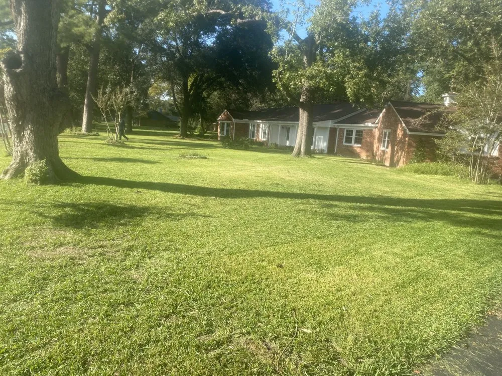 Affordable landscape installation in Willis, TX by D.S Landscaping