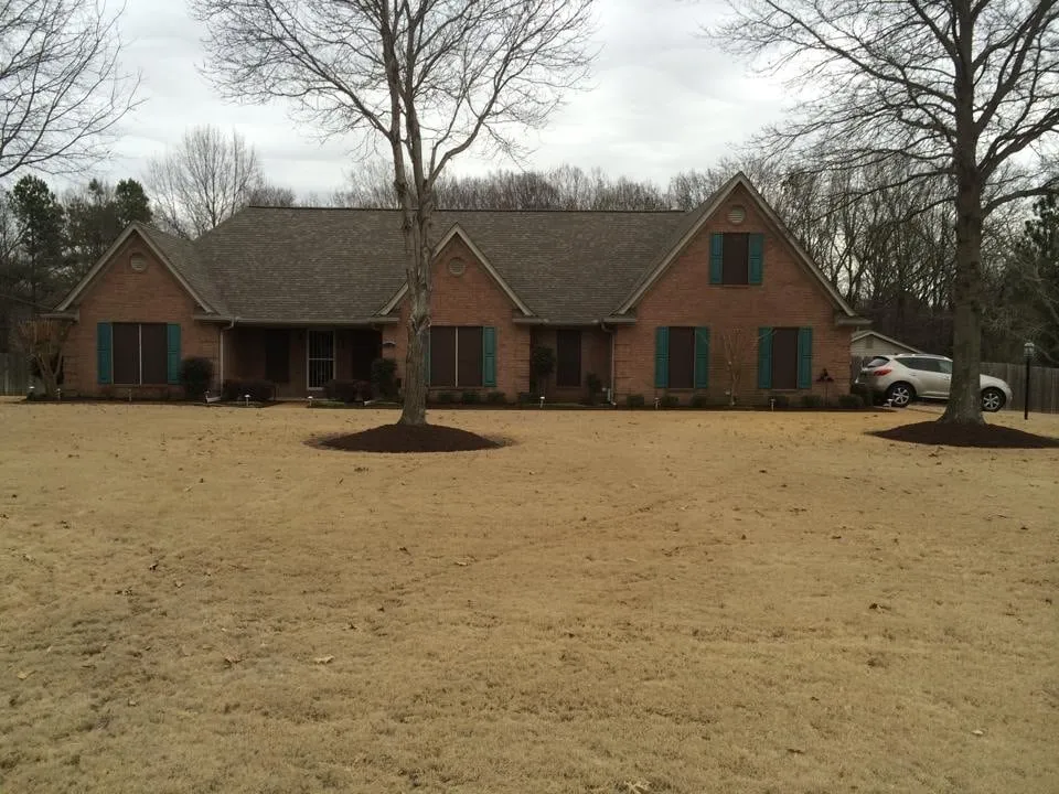 Local lawn mowing service experts serving Olive Branch, MS - D's Lawn & Landscapes