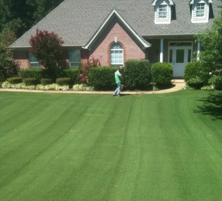 Reliable landscaping services for outdoor upgrades across Olive Branch, MS - D's Lawn & Landscapes