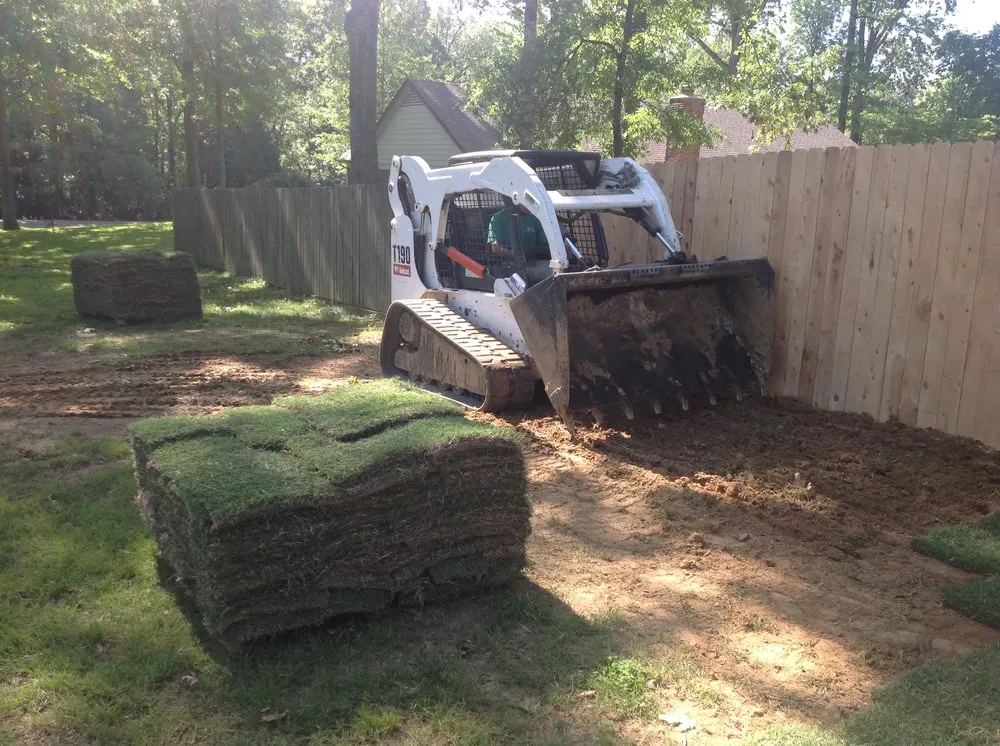 Professional yard cleanup service in Olive Branch, MS by D's Lawn & Landscapes