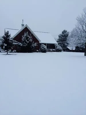 D's Lawn & Landscapes