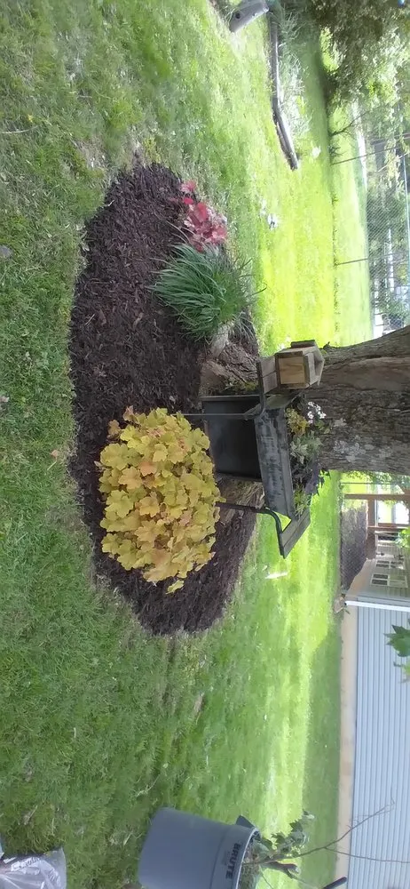 Professional landscape design in Sullivan, MO - D's Lawn & Landscaping