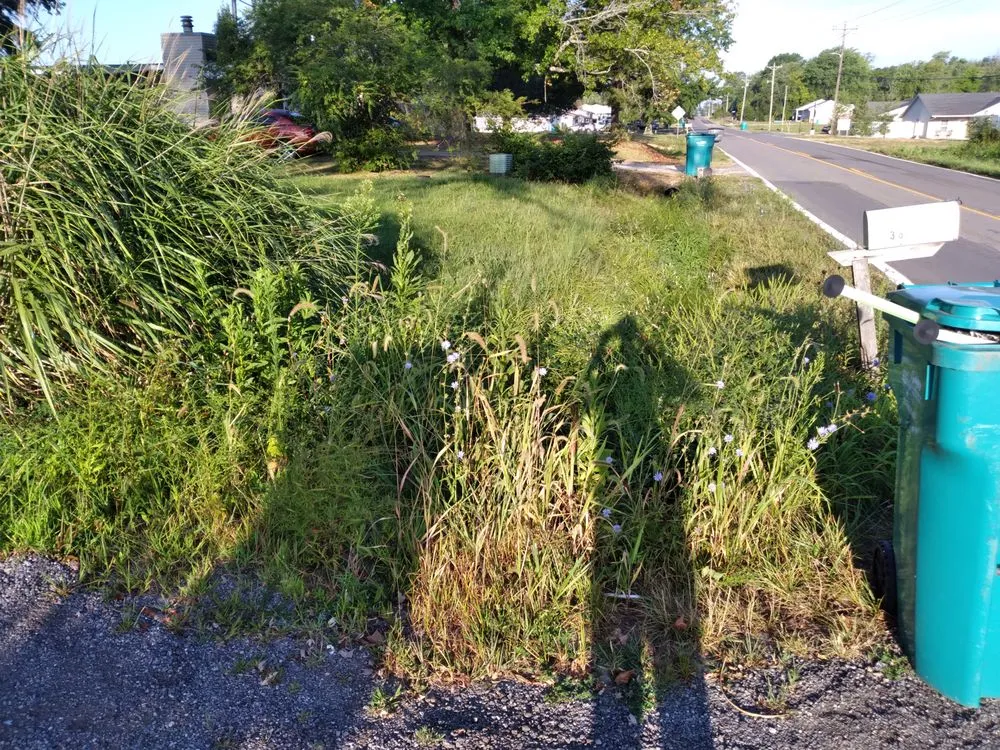 Trusted landscape installation near you in Sullivan, MO by D's Lawn & Landscaping