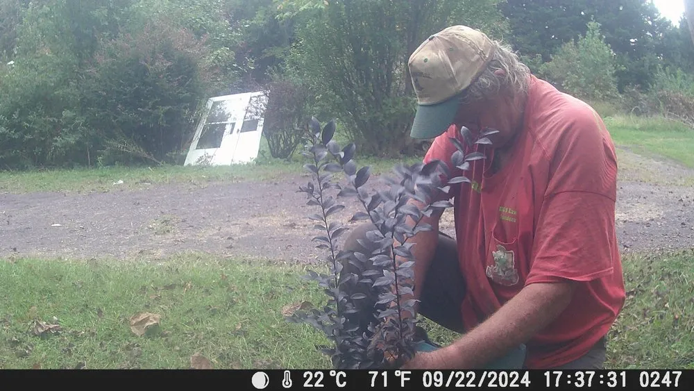 Trusted landscape design in Rixeyville, VA by D&S Lawn and Landscape