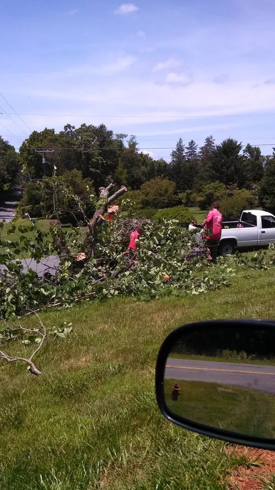 Professional lawn care service in Rixeyville, VA by D&S Lawn and Landscape