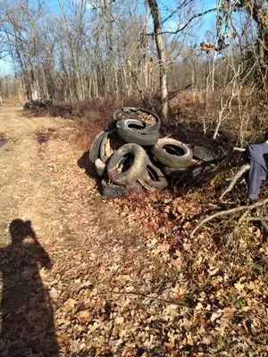 D's Lawn Care And Property Preservation And Clean Up