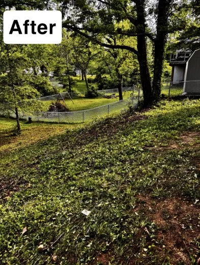 Custom yard maintenance for beautiful yards in Centertown, MO by D.S. Lawn Care And Services