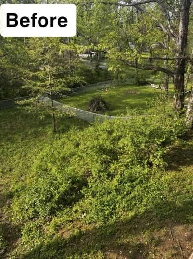 Professional outdoor landscaping in Centertown, MO - D.S. Lawn Care And Services