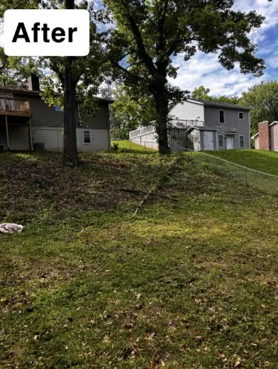 Local residential landscaping experts serving Centertown, MO - D.S. Lawn Care And Services