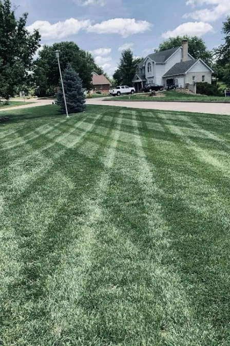 Reliable outdoor landscaping near you in Centertown, MO by D.S. Lawn Care And Services