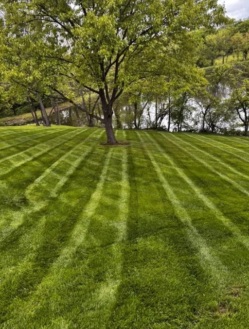 Reliable landscape design experts serving Centertown, MO - D.S. Lawn Care And Services