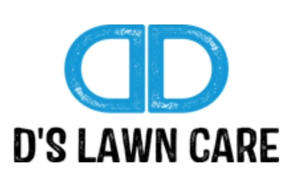 Local yard cleanup service in Dover, PA - D's Lawn care