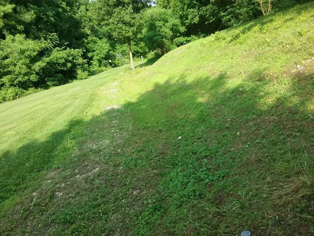 Reliable yard maintenance experts serving Dover, PA - D's Lawn care