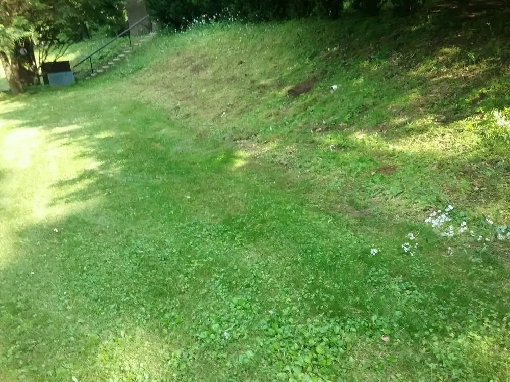 Trusted landscape design in Dover, PA - D's Lawn care