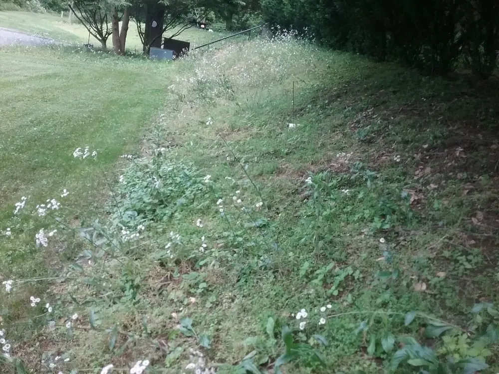 Local landscape installation for year-round maintenance across Dover, PA - D's Lawn care