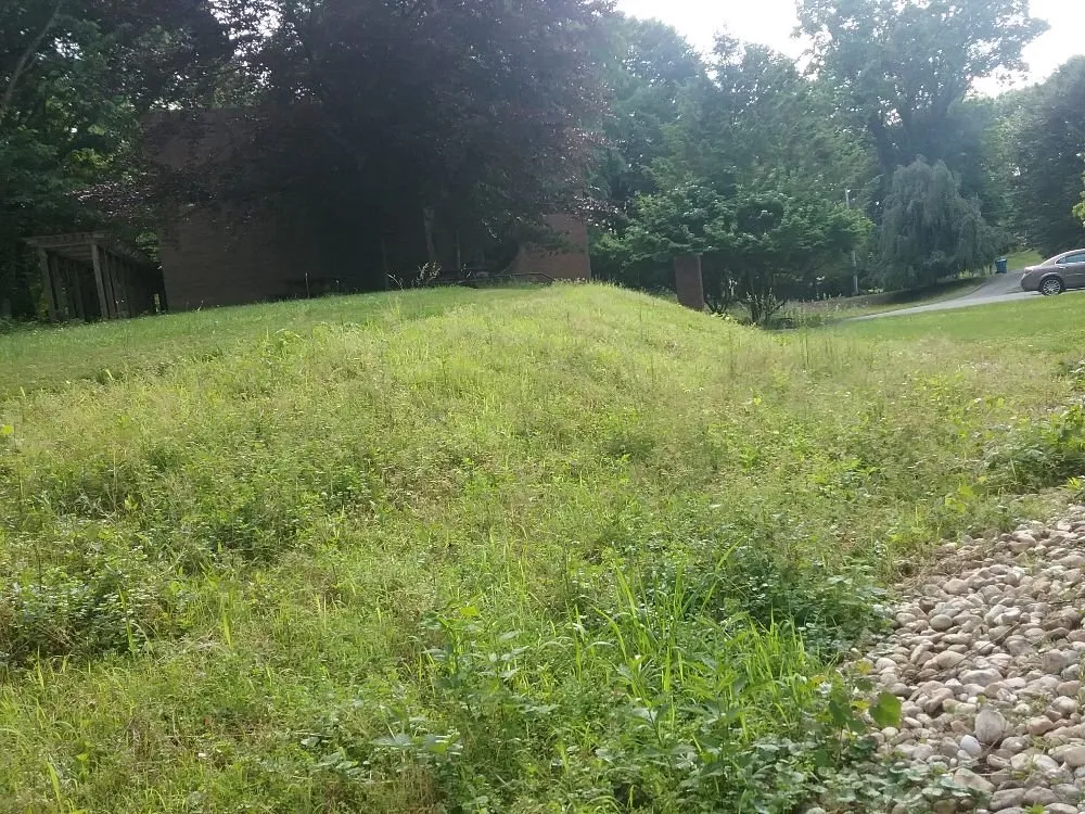 Top-rated landscape installation for outdoor upgrades in Dover, PA by D's Lawn care