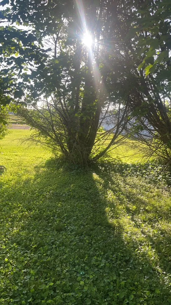 Affordable residential landscaping in Smithville, TN by D&S Lawn Care Maintenance