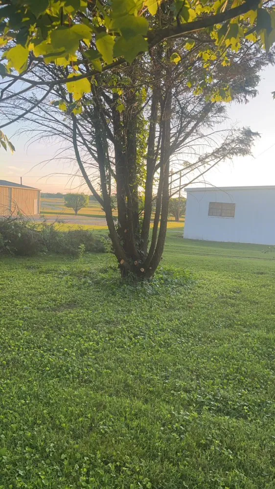 Expert yard cleanup service in Smithville, TN - D&S Lawn Care Maintenance