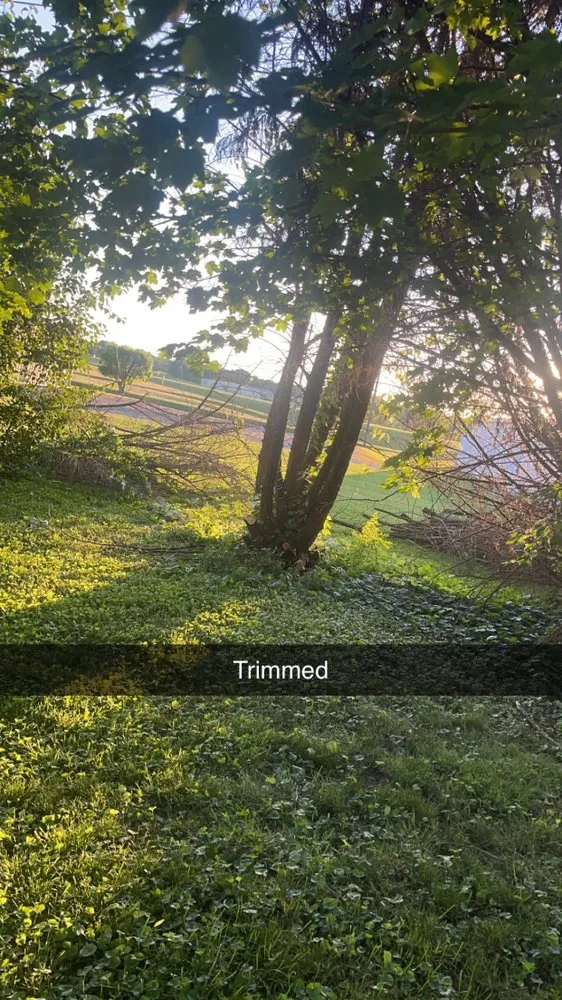 Top-rated outdoor landscaping in Smithville, TN by D&S Lawn Care Maintenance