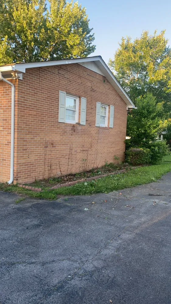 Top-rated yard cleanup service near you across Smithville, TN - D&S Lawn Care Maintenance