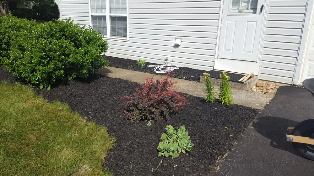 Top-rated outdoor landscaping for year-round maintenance in Whitehall, PA by D&S Lawn Care