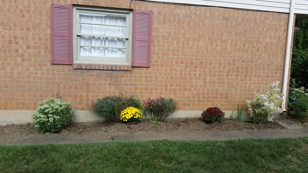 Professional lawn mowing service experts serving Whitehall, PA - D&S Lawn Care