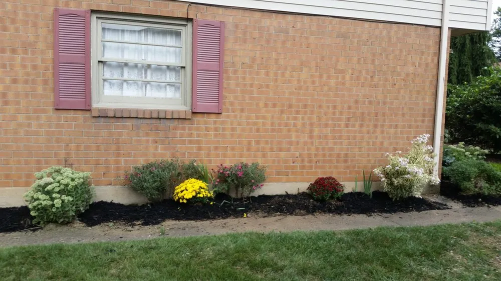 Top-rated lawn care service for residential properties in Whitehall, PA by D&S Lawn Care