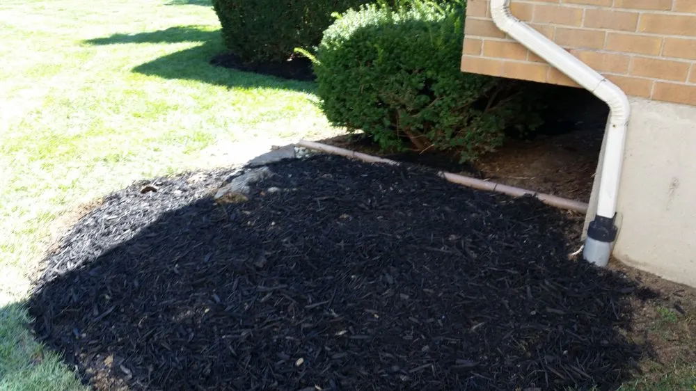 Local outdoor landscaping for year-round maintenance in Whitehall, PA by D&S Lawn Care