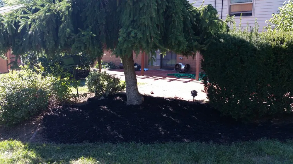 Affordable residential landscaping experts serving Whitehall, PA - D&S Lawn Care