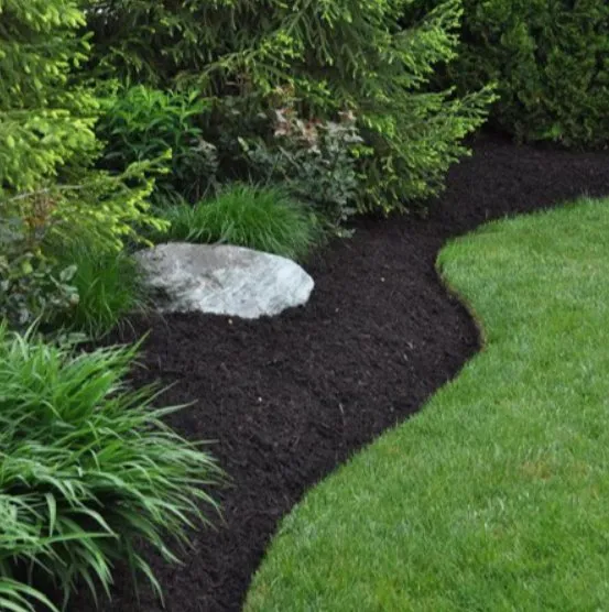 Affordable lawn care service in Lebanon, PA by DS Lawn