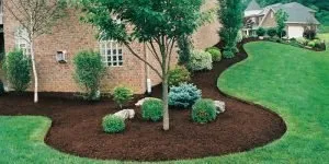 Reliable landscaping services experts serving Lebanon, PA - DS Lawn