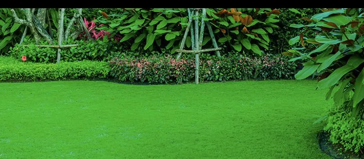 Trusted yard cleanup service in Auburn, GA - D&S Lawn Service