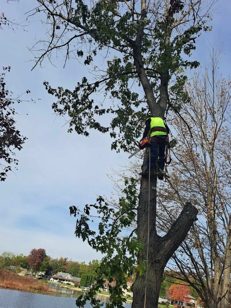 Trusted landscape design experts serving Camden, MI - D&S Lawn Service